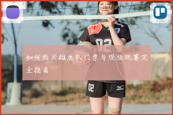 如何购买雄鹿队门票与现场观赛完全指南