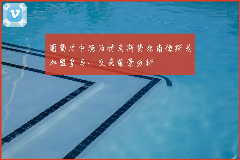 葡萄牙中场马特乌斯费尔南德斯或加盟皇马，交易前景分析