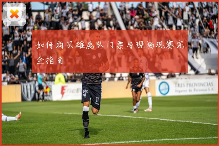 如何购买雄鹿队门票与现场观赛完全指南